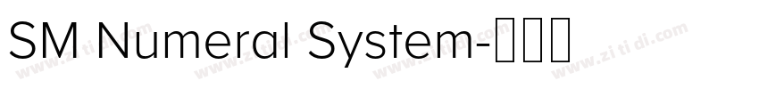 SM Numeral System字体转换 SM Numeral System字体转换